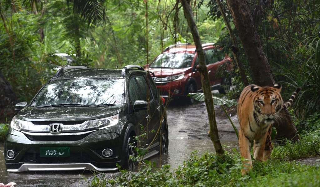 Honda BR-V Rajai Low SUV, HPM Kuasai Posisi 2 Penjualan Nasional Honda BR-V Rajai Low SUV, HPM Kuasai Posisi 2 Penjualan Nasional