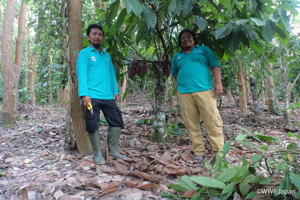 WWF Gandeng Toyota untuk Program Living Asian Forest Project WWF Gandeng Toyota untuk Program Living Asian Forest Project