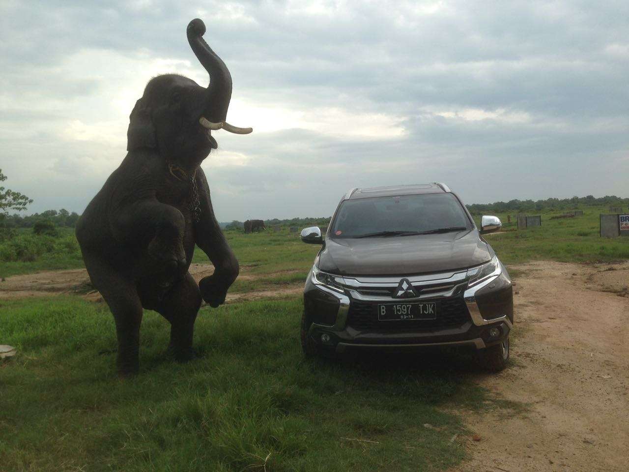Mitsubishi All New Pajero Sport Off Road di Way Kambas Mitsubishi All New Pajero Sport Off Road di Way Kambas