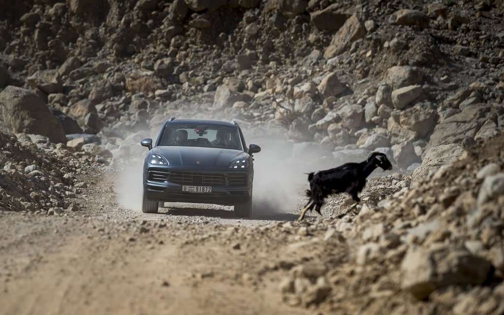 TEST DRIVE: Driving Experience Porsche Cayenne 2018 di Fujairah dan Oman TEST DRIVE: Driving Experience Porsche Cayenne 2018 di Fujairah dan Oman