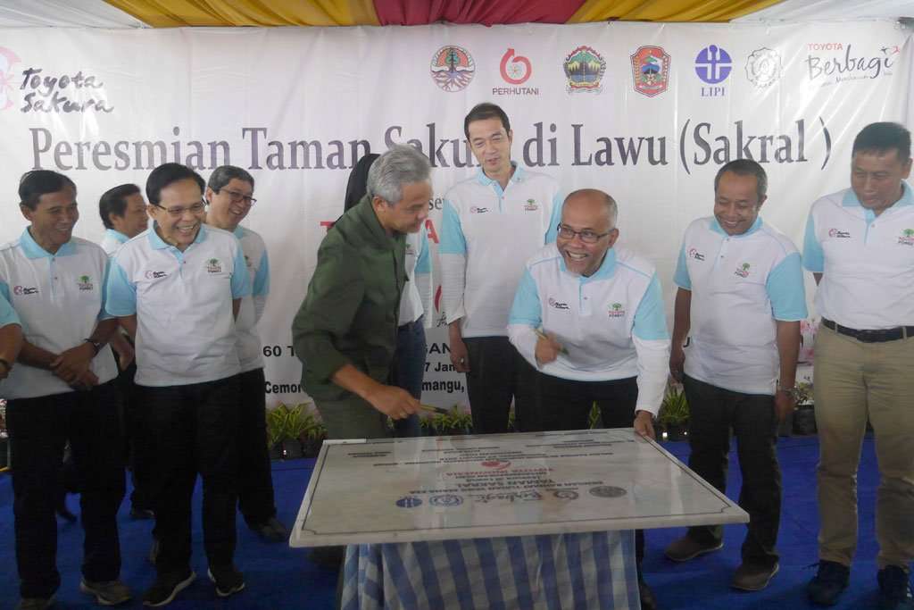 Toyota Tanam Sakura di Bukit Taman Wisata Gunung Lawu Toyota Tanam Sakura di Bukit Taman Wisata Gunung Lawu