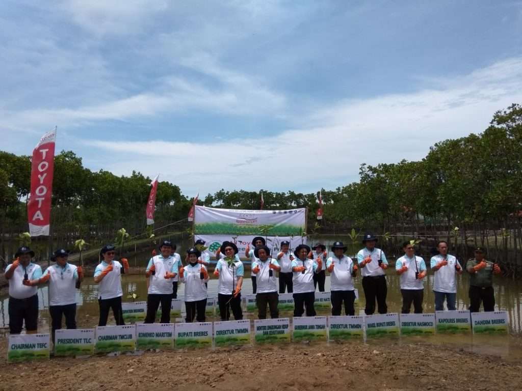 Toyota Indonesia Tanam 70.000 Mangrove di Brebes Toyota Indonesia Tanam 70.000 Mangrove di Brebes