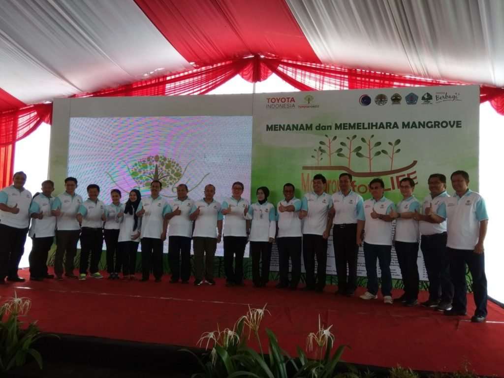 Ketika Toyota Pagari Pantai Utara Jawa dengan Mangrove Ketika Toyota Pagari Pantai Utara Jawa dengan Mangrove