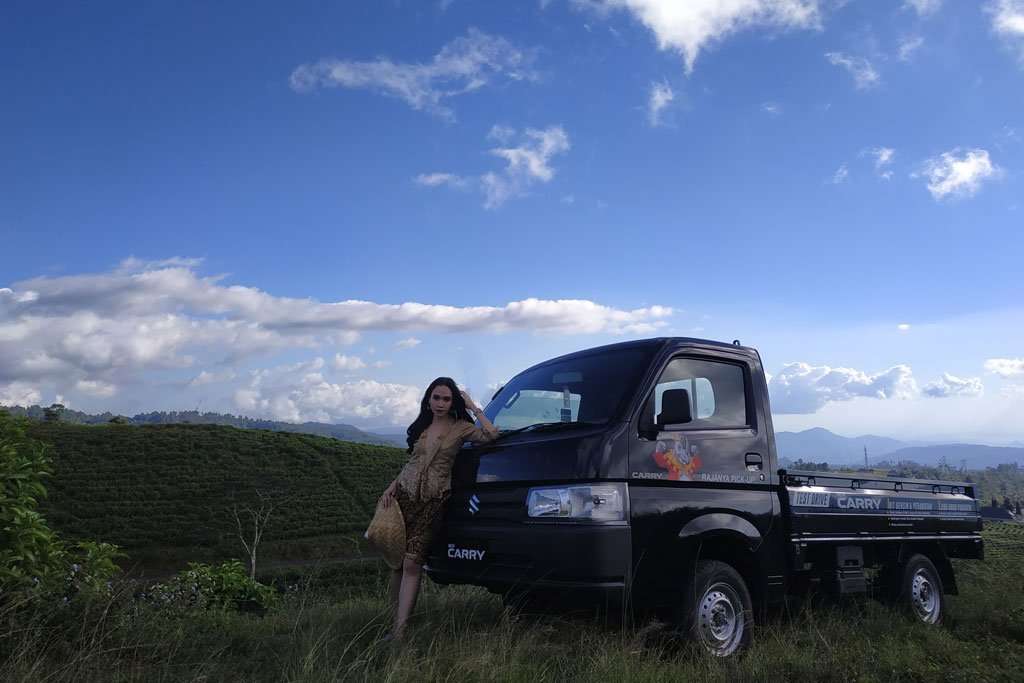 Penjualan Suzuki 2019, Carry dan Ertiga Jadi Tulang Punggung Penjualan Suzuki 2019, Carry dan Ertiga Jadi Tulang Punggung