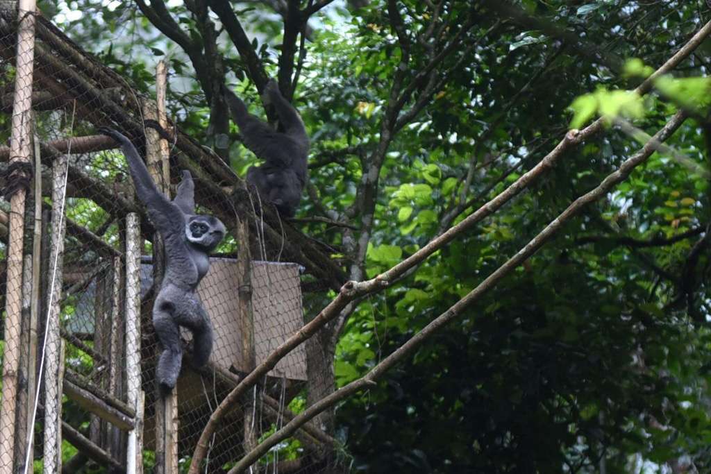 Mau Ikut Pertamina Eco Camp 2019? Begini Caranya Mau Ikut Pertamina Eco Camp 2019? Begini Caranya
