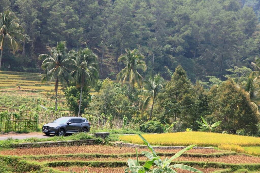 Menikmati Keindahan Alam Priangan Bersama All-New Mazda CX-8 (Bagian 1) Menikmati Keindahan Alam Priangan Bersama All-New Mazda CX-8 (Bagian 1)