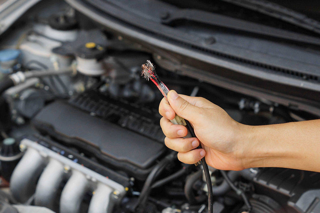 TIPS: Antisipasi Mobil Jadi Sarang Tikus Gara-Gara Kelamaan Parkir TIPS: Antisipasi Mobil Jadi Sarang Tikus Gara-Gara Kelamaan Parkir
