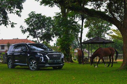 Opsi Non-Varian Termahal, Begini Perbedaan Hyundai Palisade Prime dan Signature Opsi Non-Varian Termahal, Begini Perbedaan Hyundai Palisade Prime dan Signature