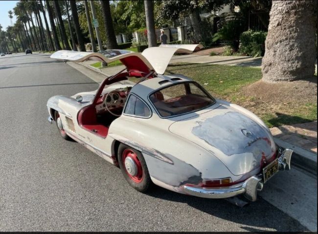 2021/08/gullwing-3.jpg