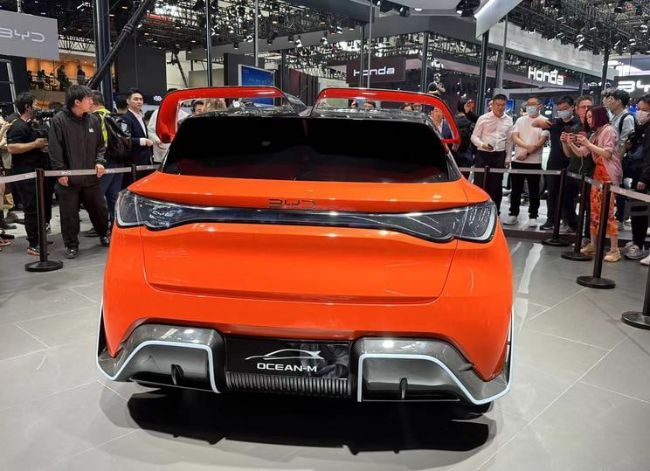 2024/04/BYD-Ocean-M-Concept-5.jpg