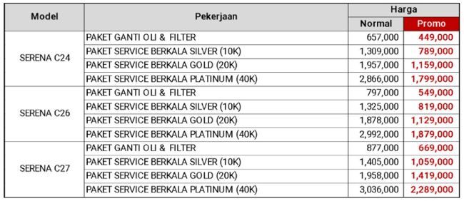 Nissan Service Festival