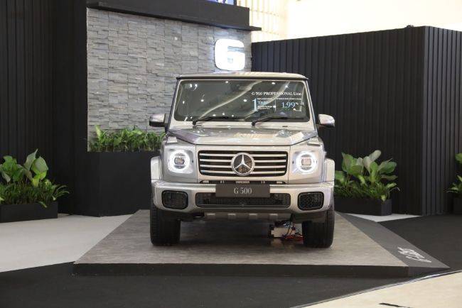 Mercedes-Benz G 500 Professional Line