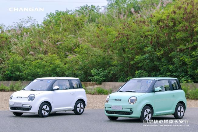 2025/10/Changan-Lumin-EV-1.jpg